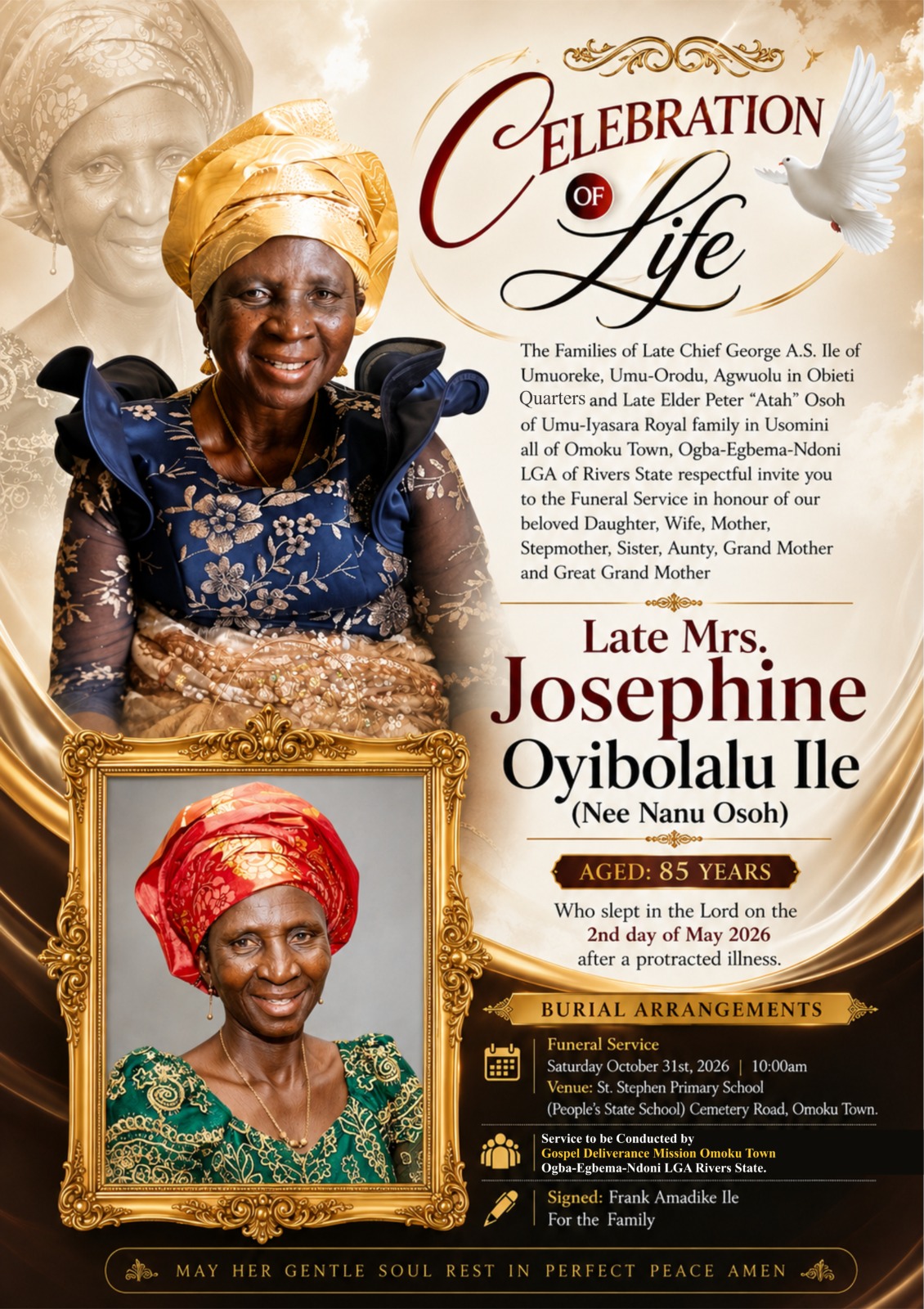 Josephine smiling in a navy and gold dress, from the family celebration of life artwork
